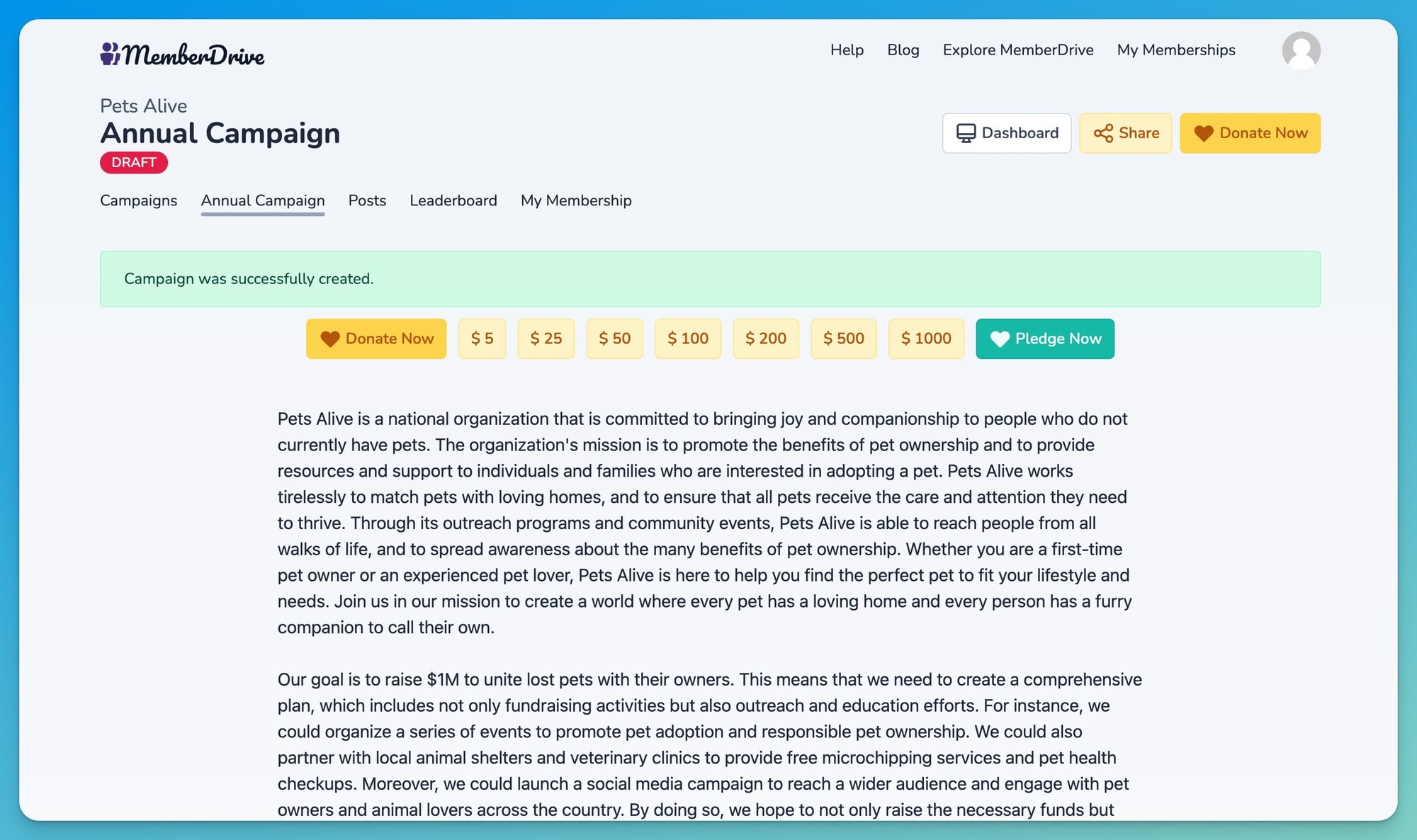 Campaign Setup Preview Draft