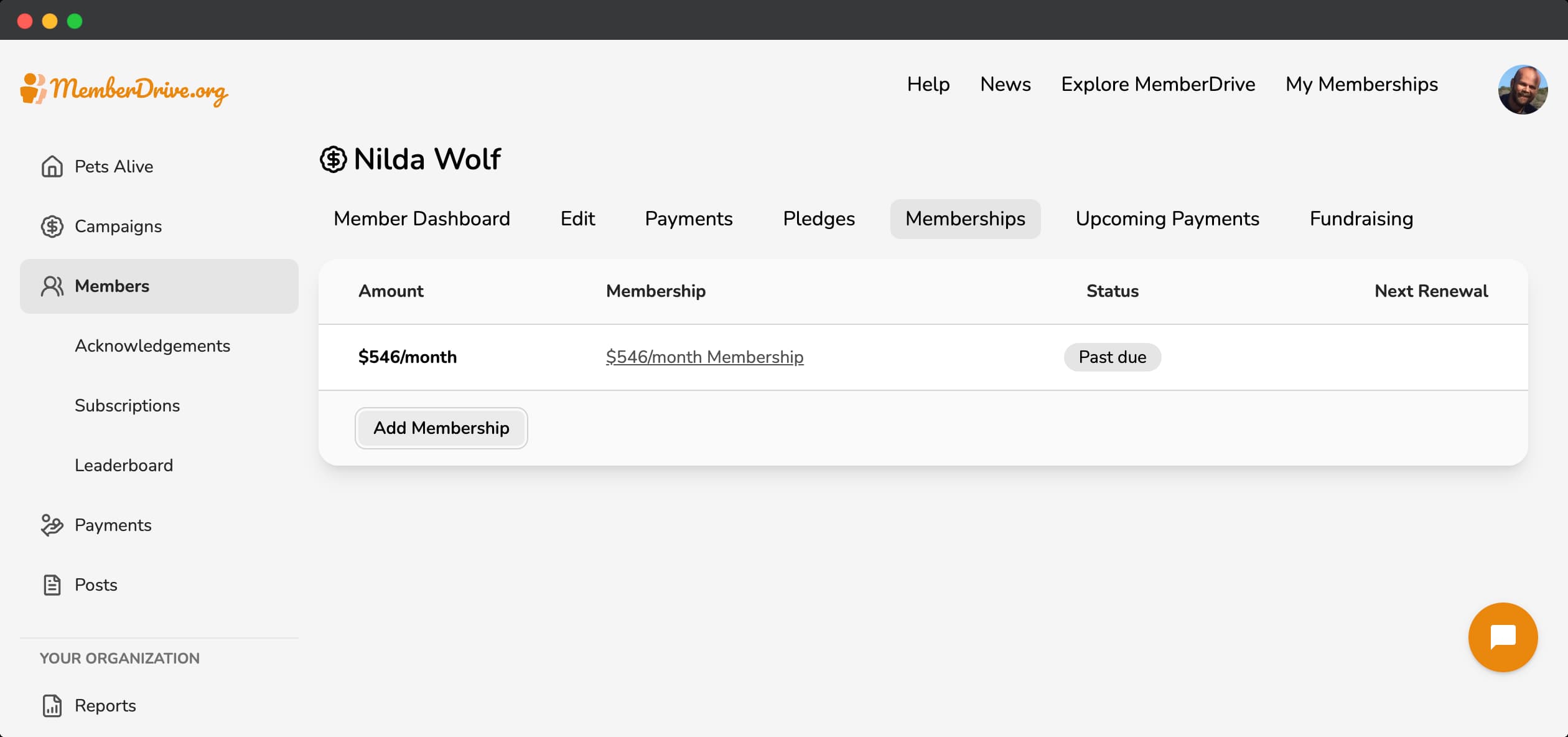 Member Dashboard