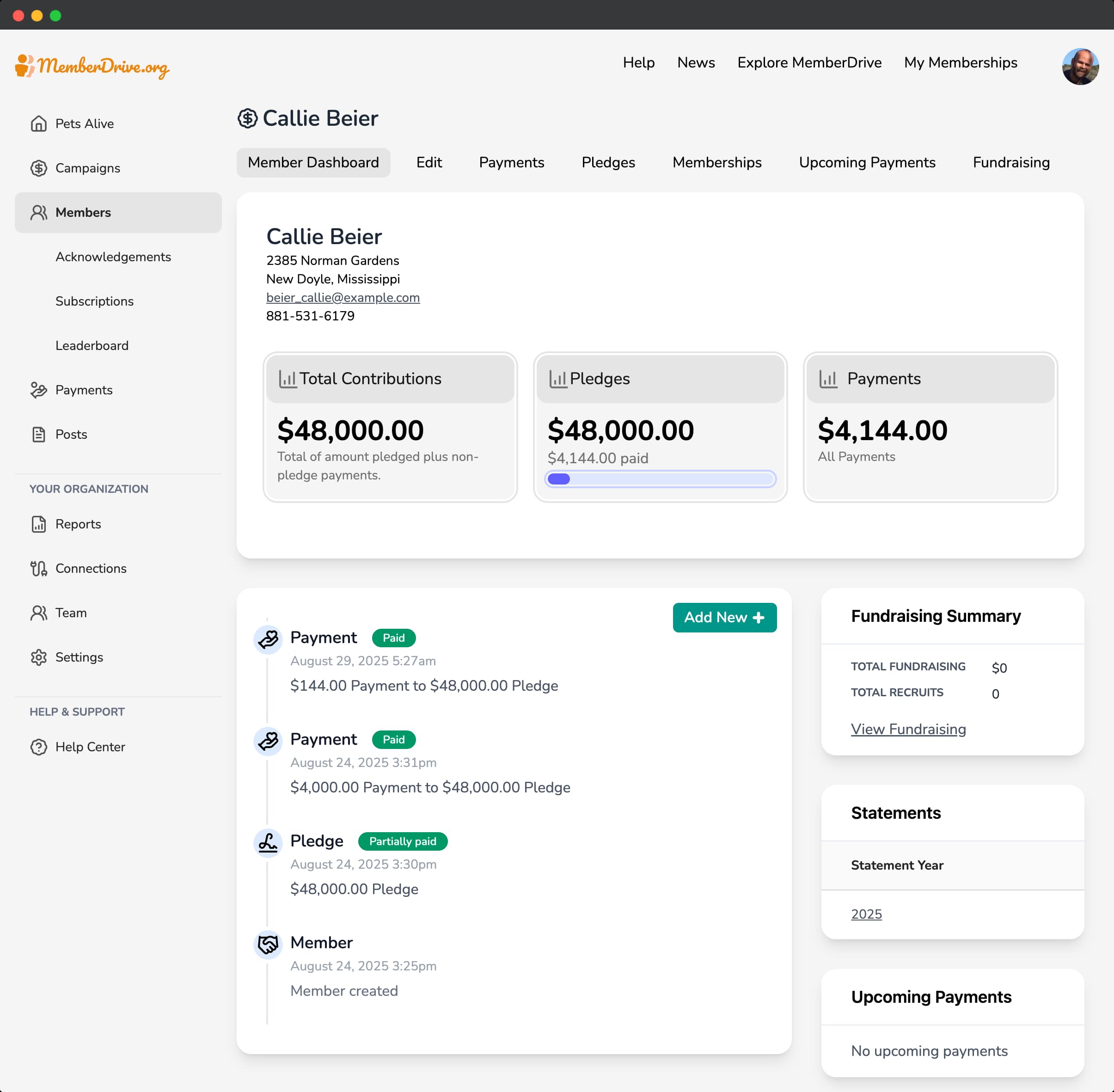 Member Dashboard